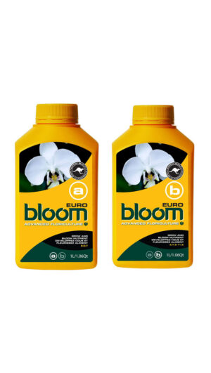 bloom euro a & b