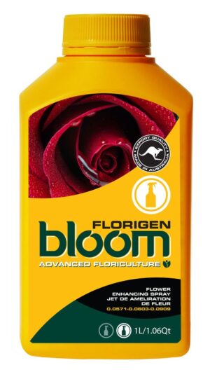 bloom florigen