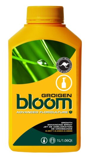 bloom groigen