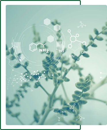 plant health products