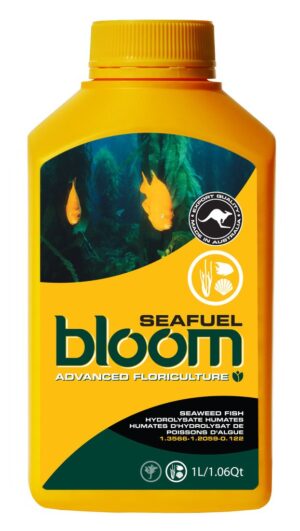 bloom seafuel