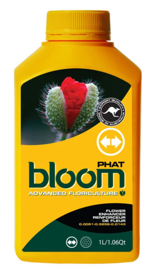 bloom phat