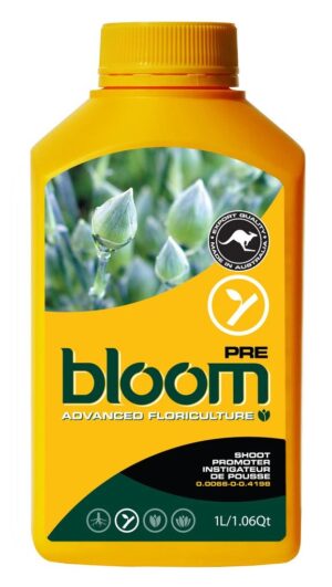 bloom pre